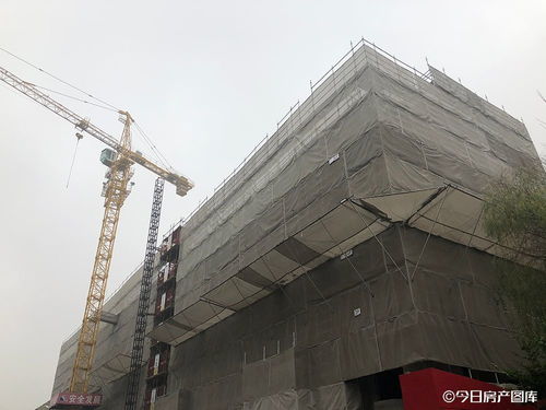 實探 徐匯600米地鐵站,出現個全新盤