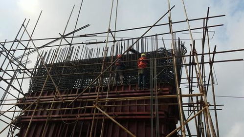 1433萬大橋突然坍塌,無一根鋼筋 大貨車 這鍋我不背