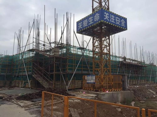 重點工程系列報道十二